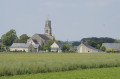 Entre vigne et forêt à Grézillé Entre vigne et forêt à Grézillé