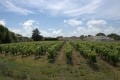 Campagne et vignes à Brem-sur-Mer Campagne et vignes à Brem-sur-Mer