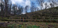 Réhabilitation de l'ancienne vigne Réhabilitation de l'ancienne vigne