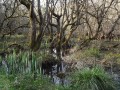 Cens, Erdre et Gesvres, trois cours d'eau nantais Cens, Erdre et Gesvres, trois cours d'eau nantais