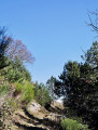 Barraca del Faig - Coll d’en Cé depuis Léca Barraca del Faig - Coll d’en Cé depuis Léca