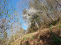 Les passerelles de l'Aphatarena Les passerelles de l'Aphatarena