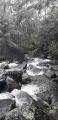 Rivière des Galets à gué Rivière des Galets à gué