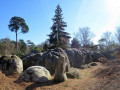 Les Rochers de Cuvier-Chatillon Les Rochers de Cuvier-Chatillon