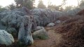 De Bois-le-Roi à Boissise-le-Roi par la Mare aux Évées De Bois-le-Roi à Boissise-le-Roi par la Mare aux Évées