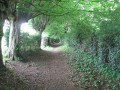 Le sentier des cours d'Ay et des choats à Vieux-Mesnil Le sentier des cours d'Ay et des choats à Vieux-Mesnil