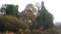 Ruines de Rustéphan Ruines de Rustéphan