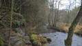 Ruisseau de Martin Moulin Ruisseau de Martin Moulin