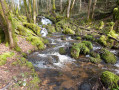 Ruisseau Ruisseau