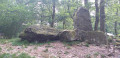 Sentier des Rochers de Loshheim Sentier des Rochers de Loshheim