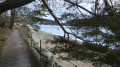 Tour du Lac de Schluch (Schluchsee) Tour du Lac de Schluch (Schluchsee)
