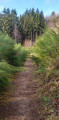 Sentier avant d'entrer en forêt Sentier avant d'entrer en forêt