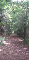 Sentier d'ambiance Sentier d'ambiance