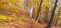 Sentier d'ambiance Sentier d'ambiance