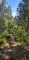 Sentier d'ambiance Sentier d'ambiance