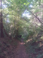 Sentier d'ambiance Sentier d'ambiance