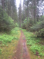 Boucle en Forêt d'Anlier au départ d'Heinstert Boucle en Forêt d'Anlier au départ d'Heinstert