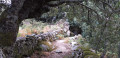 Sentier de retour Sentier de retour