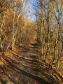 Sentier derrière l'usine Chaudfontaine Sentier derrière l'usine Chaudfontaine