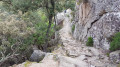 Sentier des gardes par Saint-Martin-de-l'Arçon Sentier des gardes par Saint-Martin-de-l'Arçon