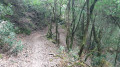 Vallée du Viaur - Le Chemin de Boudou Vallée du Viaur - Le Chemin de Boudou