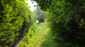 Sentier du Beauregard Sentier du Beauregard
