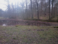 Sentier du Vuylbeek. Etang. Sentier du Vuylbeek. Etang.