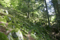 Lacs Schiessrothried et Altenweiher et Collet du Rainkopf Lacs Schiessrothried et Altenweiher et Collet du Rainkopf