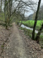 Sentier en forêt Sentier en forêt