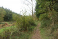 Sentier saute-frontière du Col du Litschhof à Nothweiler Sentier saute-frontière du Col du Litschhof à Nothweiler