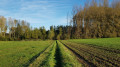 Sentier entre le Pré-RAVeL et la Rue Wastinne Sentier entre le Pré-RAVeL et la Rue Wastinne