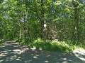 Sentier forestier Sentier forestier