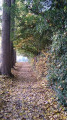 Sentier le long du terrain de Rugby Sentier le long du terrain de Rugby