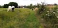 Sentier persqu'oublié ! Sentier persqu'oublié !
