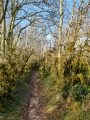 Boucle des Combes au départ de Saint-Symphorien Boucle des Combes au départ de Saint-Symphorien
