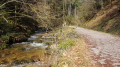 Cascade d'Allerheiligen et Schliffkopf en Forêt Noire Cascade d'Allerheiligen et Schliffkopf en Forêt Noire