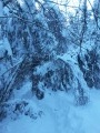 Ovifat, lorsque la neige est au rendez-vous Ovifat, lorsque la neige est au rendez-vous