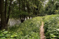 Boucle de l'Ourthe et Roche aux Faucons à Esneux Boucle de l'Ourthe et Roche aux Faucons à Esneux