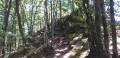 sentier vers le point de vue de l'abbaye sentier vers le point de vue de l'abbaye