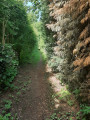 Sentier vers Wierde Sentier vers Wierde