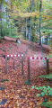 Sentier Sentier