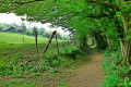 Sentier Sentier