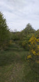 Sentier Sentier