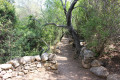 Sentier du patrimoine : Les Orii à Monaccia-d'Aullène Sentier du patrimoine : Les Orii à Monaccia-d'Aullène