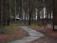 À l'orée de la Forêt d'Eawy à Ardouval À l'orée de la Forêt d'Eawy à Ardouval