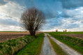 Boucle dans le piémont du Pays des Collines Boucle dans le piémont du Pays des Collines