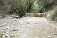 Chames Patroux par le ruisseau du Tiourre et retour par Combe Longue Chames Patroux par le ruisseau du Tiourre et retour par Combe Longue
