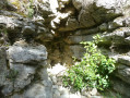 L'Oppidum de Nages L'Oppidum de Nages