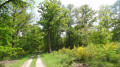 Entre forêts et étangs autour de la Ferté-Saint-Cyr Entre forêts et étangs autour de la Ferté-Saint-Cyr