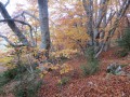 La barre des Dourbes La barre des Dourbes